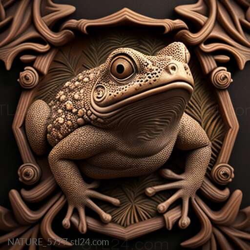 st toad 1